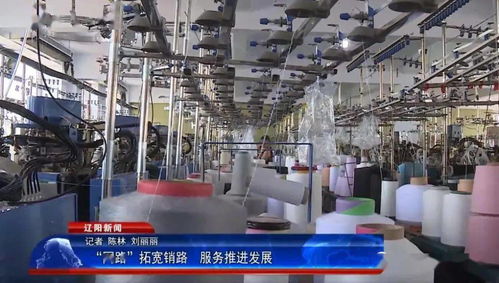 網路拓寬銷路，服務推進發展 軟件開發與技術服務的新引擎